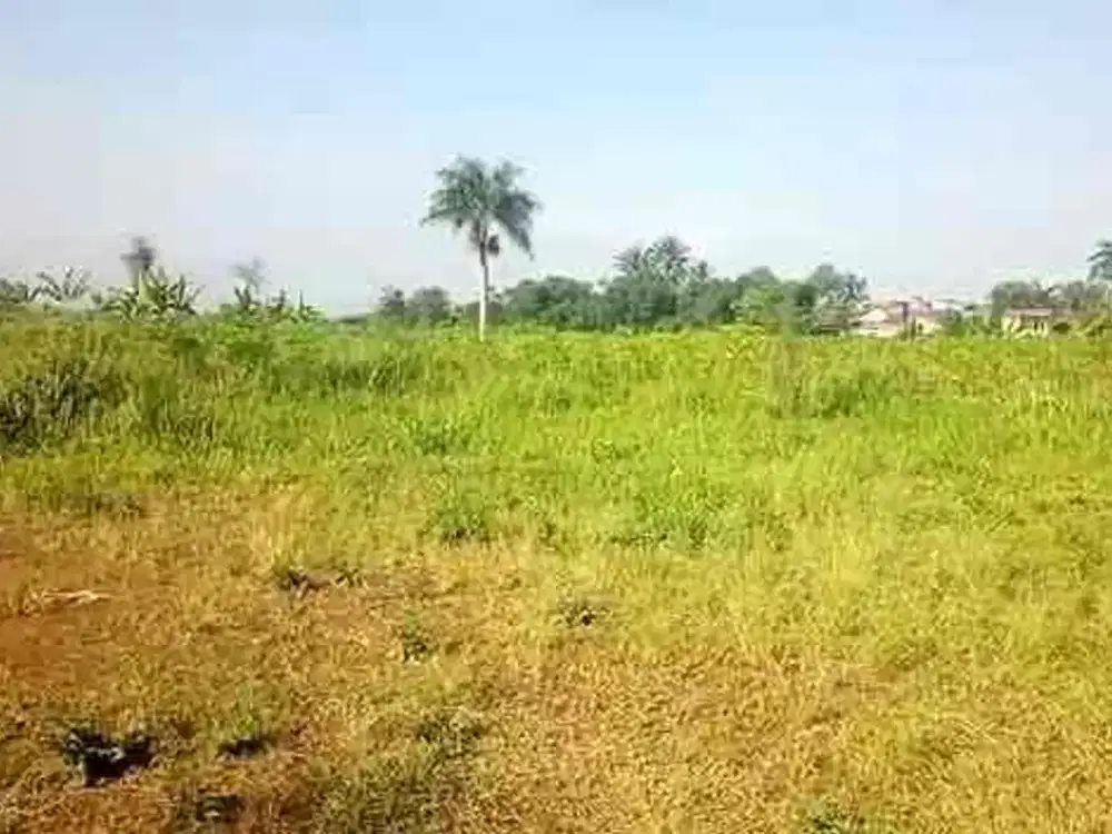 DIJUAL – Lahan Strategis 1,3 Ha di Area KEK Lido, Sukabumi