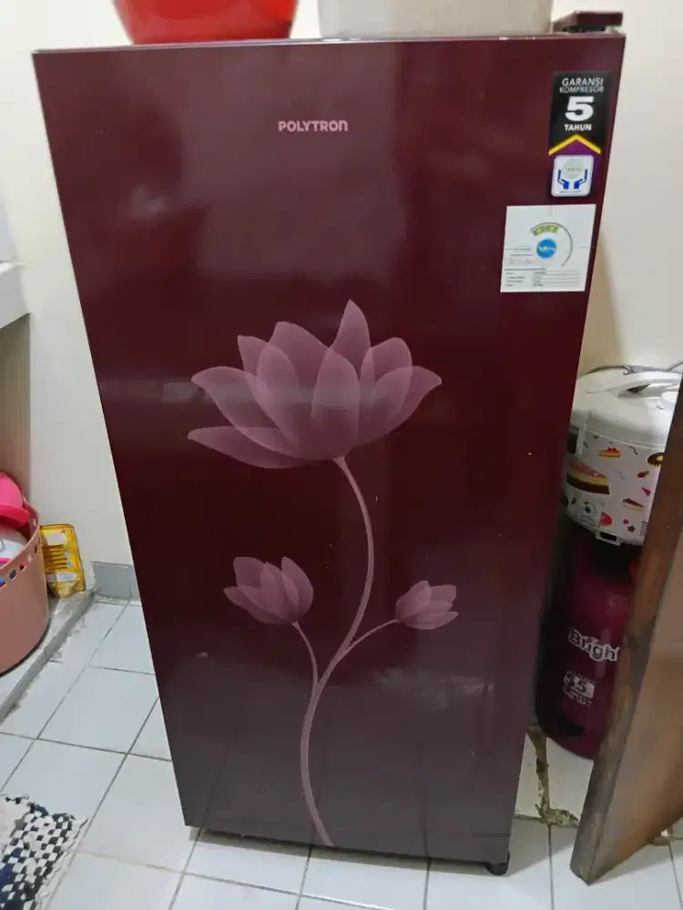 Kulkas Polytron 1 Pintu
