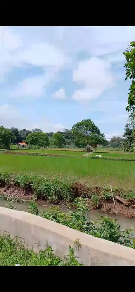 Tanah taman sari setu