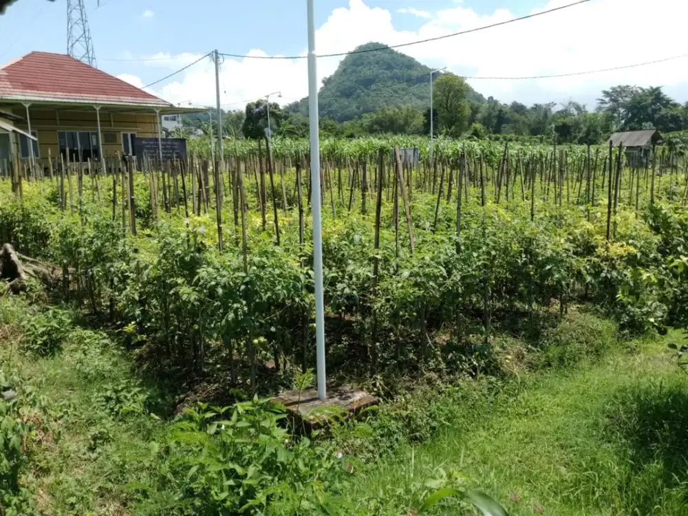 DIJUAL TANAH KAVLING 96m2 dekat jatimpark 3