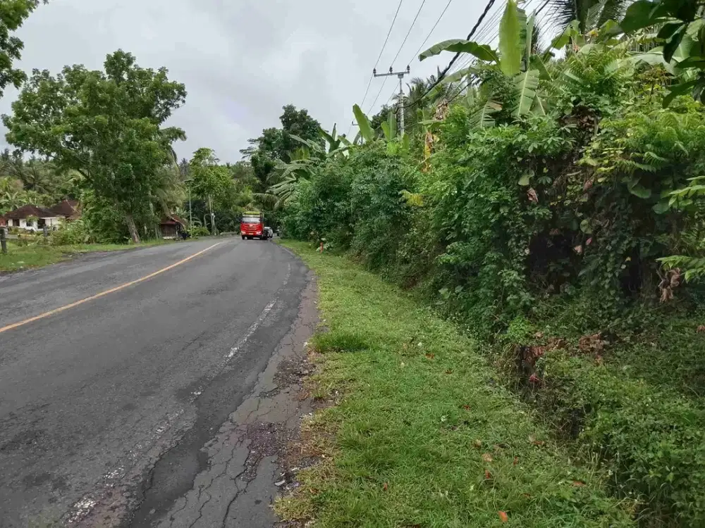 lahan kecil dijalan utama dg view abadi ditabanan bali