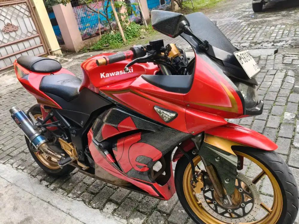 Ninja 250 Karbu