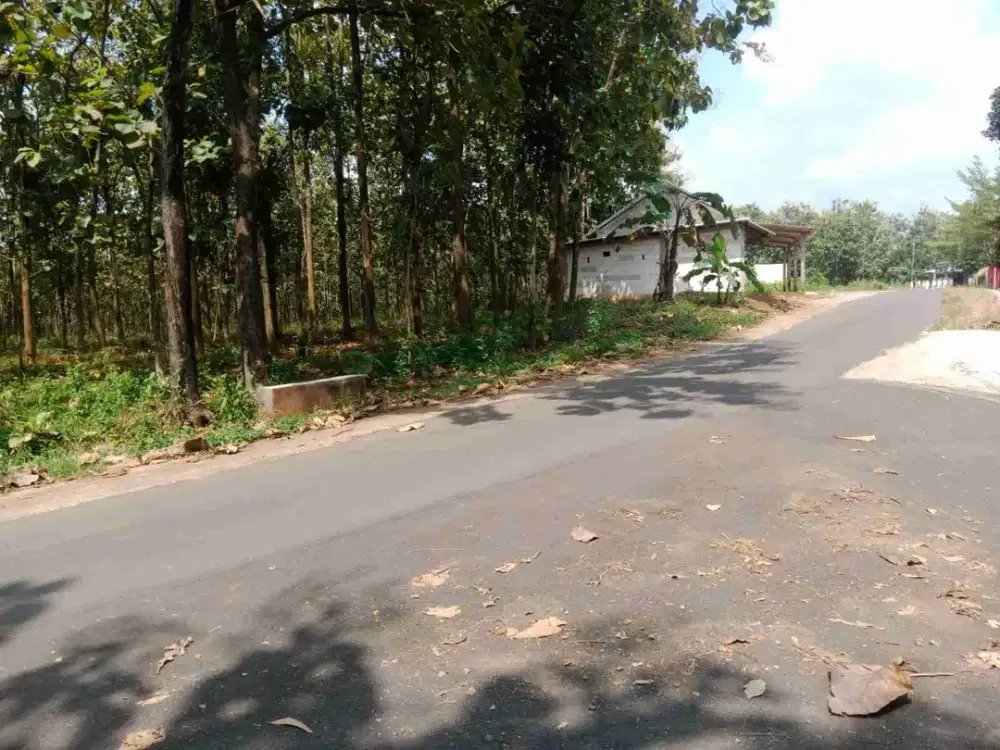 pekarangan murah 2.739m² muka 40m+ jalan DPU 7m, cocok di kavling, polokarto :