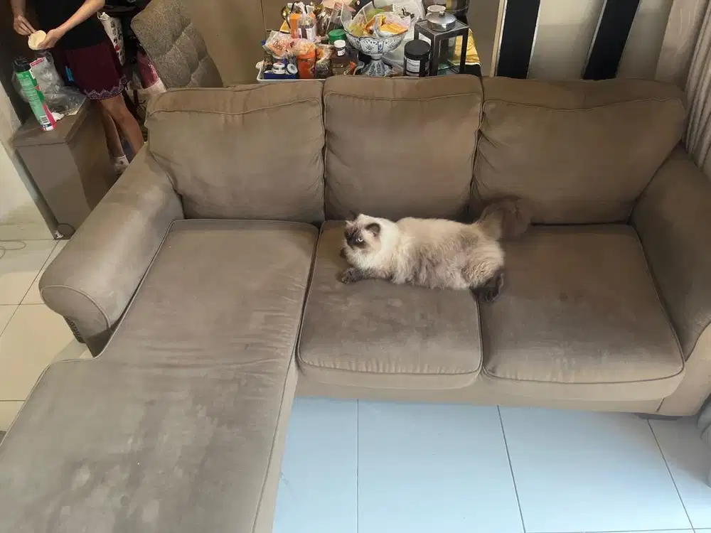 Sofa cokelat Informa