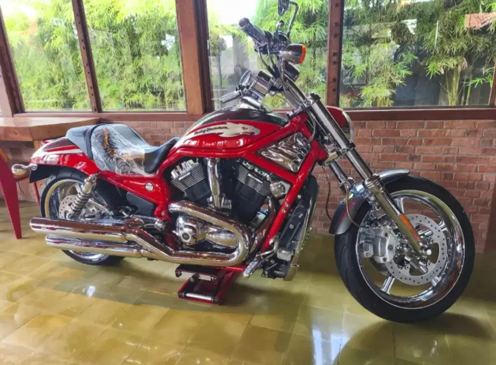 Harley Davidson Vrod screamin eagle cvo