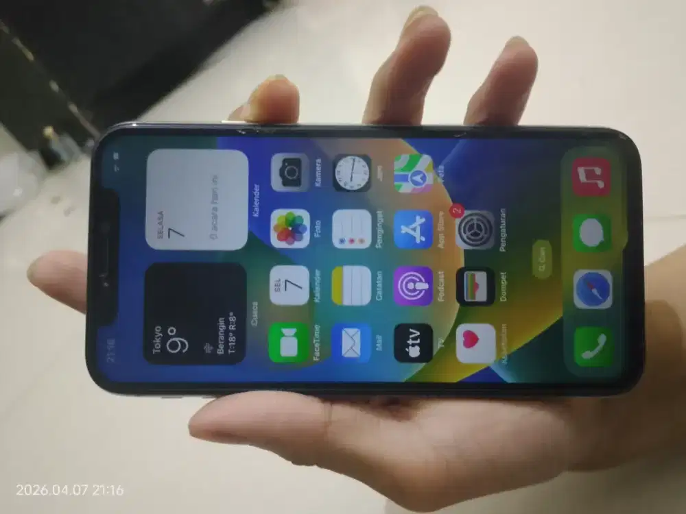 iPhone x 64 GB inter bebas reset