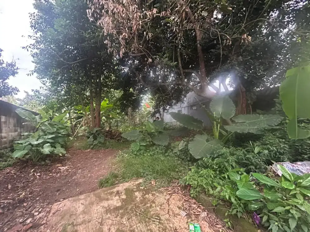 DIJUAL Tanah Cicayur Pagedangan, LT 630 m² Harga 6,75 Jt/m Nego