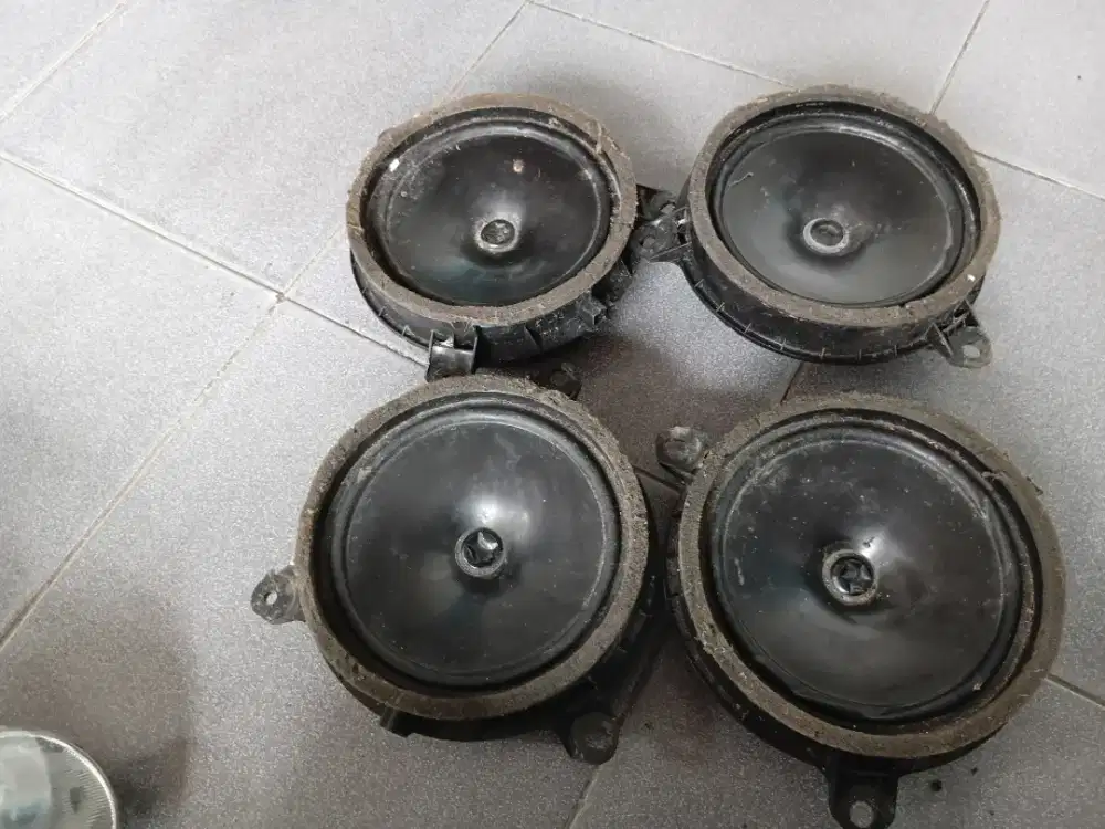 Speaker pinti reborn