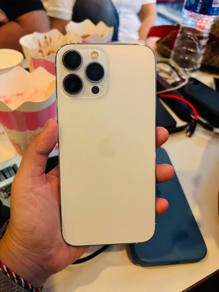 IPHONE 13 PRO MAX EX INTER 256 BEACUKAI