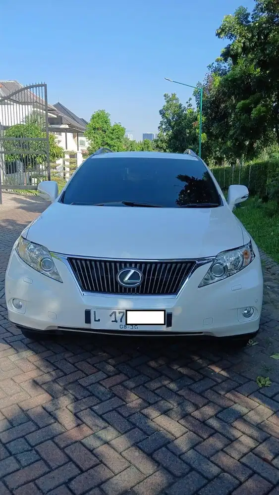 Lexus Pilihan dan Perawatan