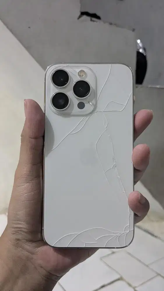 iPhone 13 Pro 256 ex inter