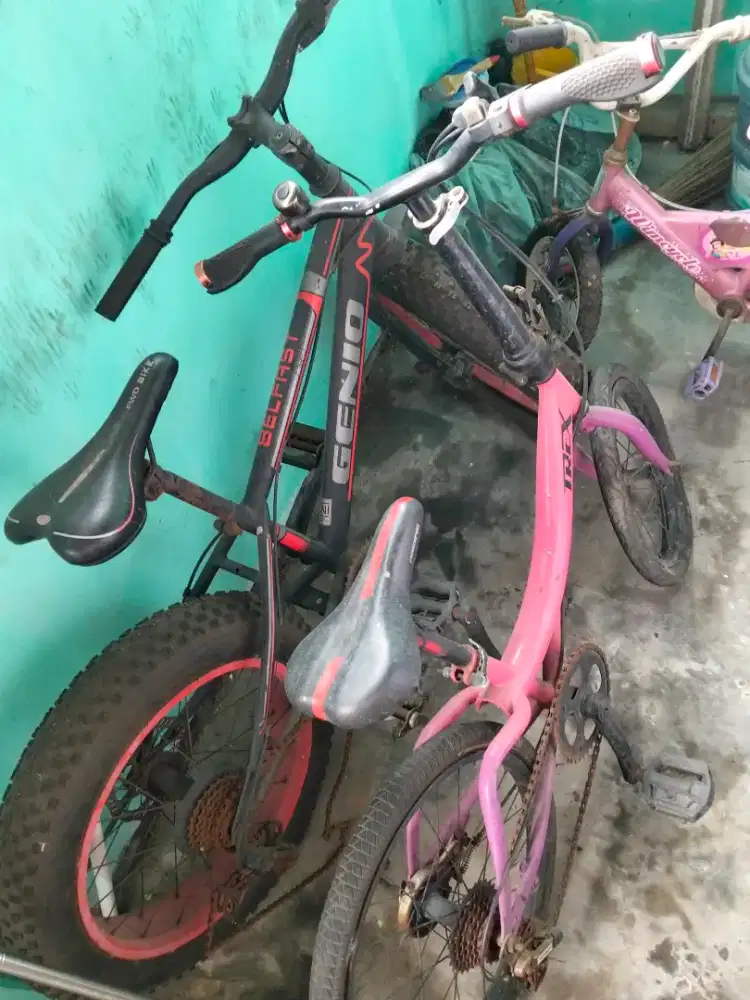 Sepeda Anak Wimcycle