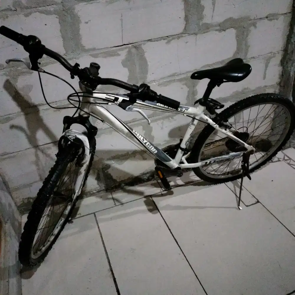 Sepeda Polygon Monarch 3.0 SNI