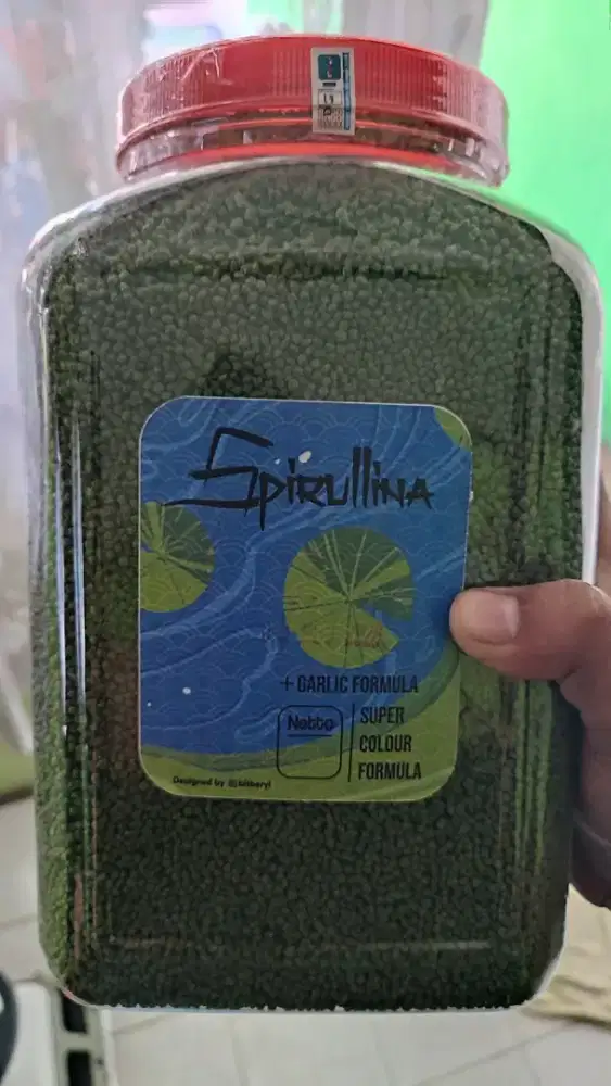 Makanan ikan koi salah beli jual rugi