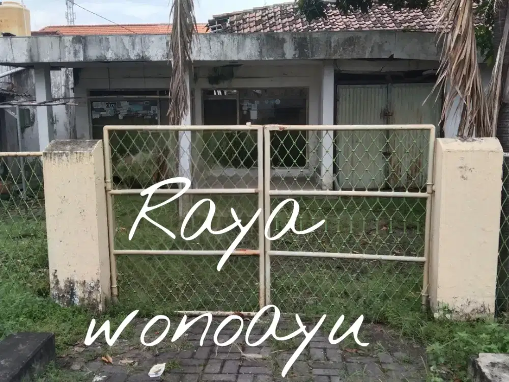 raya wonoayu