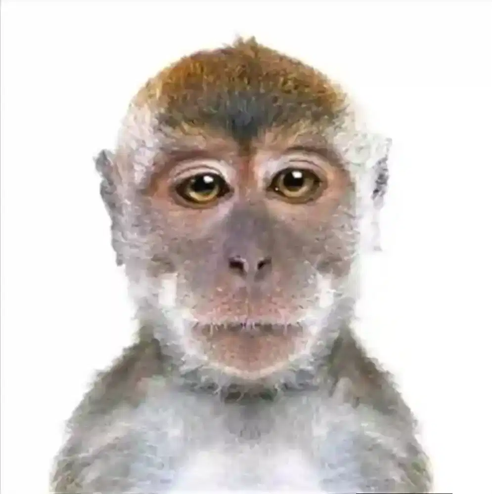 Golek kerjoan sek jelas ae