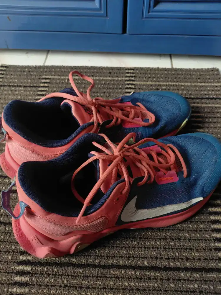 SEPATU BASKET NIKE GIANNIS SZ 44 / NIKE BASKETBALL