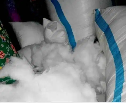 Dakron Kiloan Super Grade A Diisi Kasur Bantal Guling Diantar GOSEND