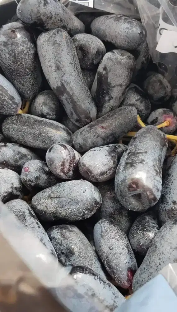 Cari kerja freelance halal yg macem macem jangan