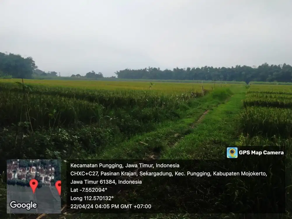 Dijual tanah sawah