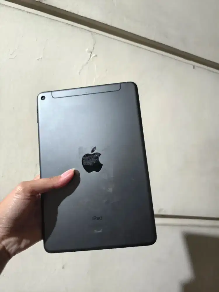 Ipad Mini 5 256Gb iBox Cellular