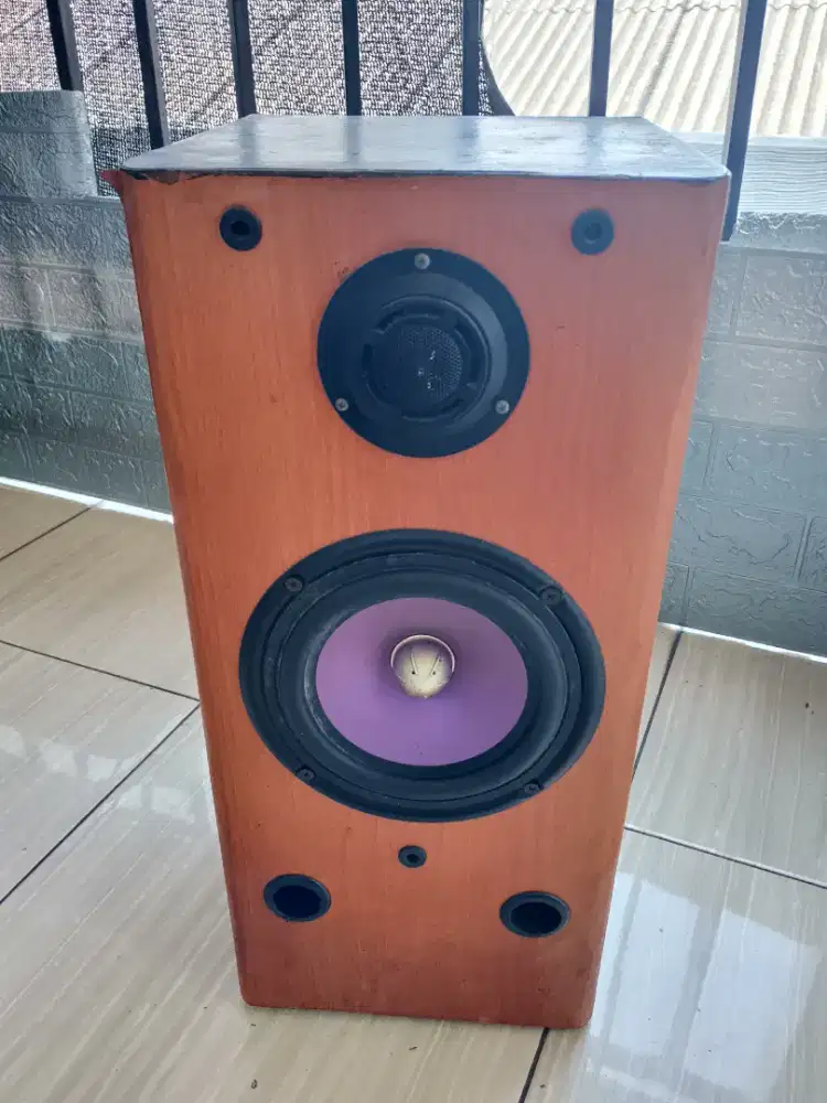 speaker pasif, proton 6,5 inch