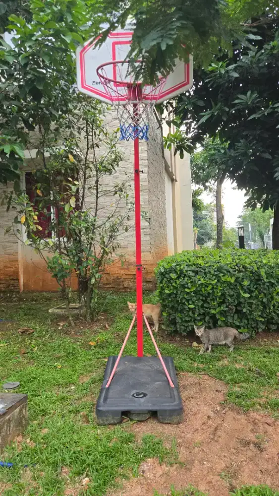 Set ring basket portable BERWYN