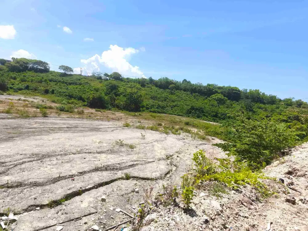 dikontrakkan tanah 1 hektar IDR 20 JT/are/tahun kawasan Melasti beach Ungasan Kuta Selatan Badung Bali
