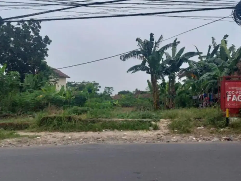 Tanah Kavling Murah Dekat Alun-alun Kota Pandeglang, Banten