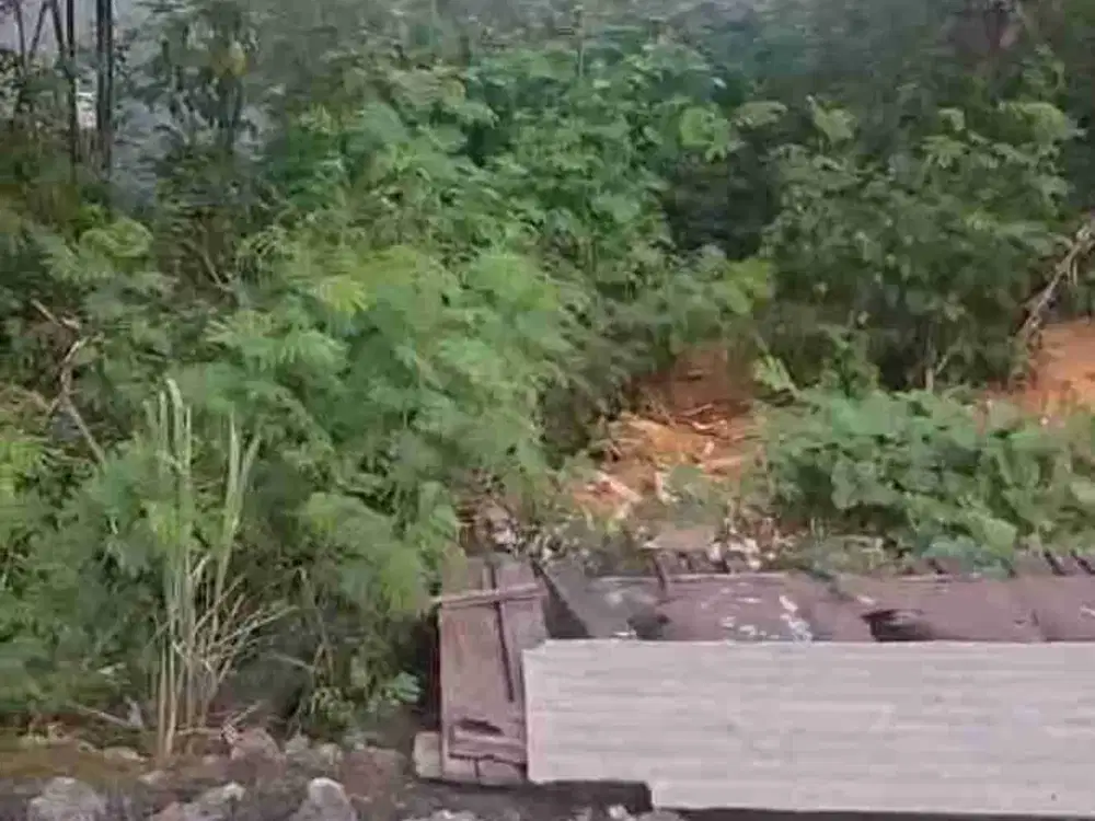 dijual tanah 5 are IDR 550 juta per are nego dekat poltekpar Bali STP Nusa dua