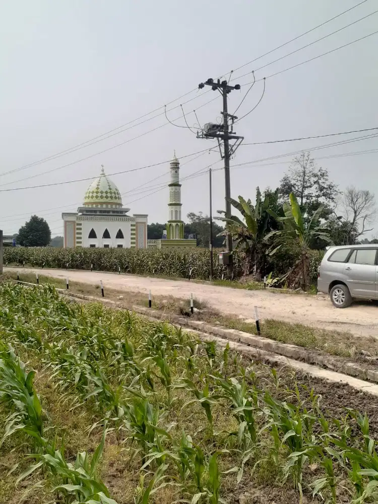 TANAH PREMIUM KAMPUS ITERA! DP MURAH HANYA 100 MTR DR JALUR DUA KORPRI