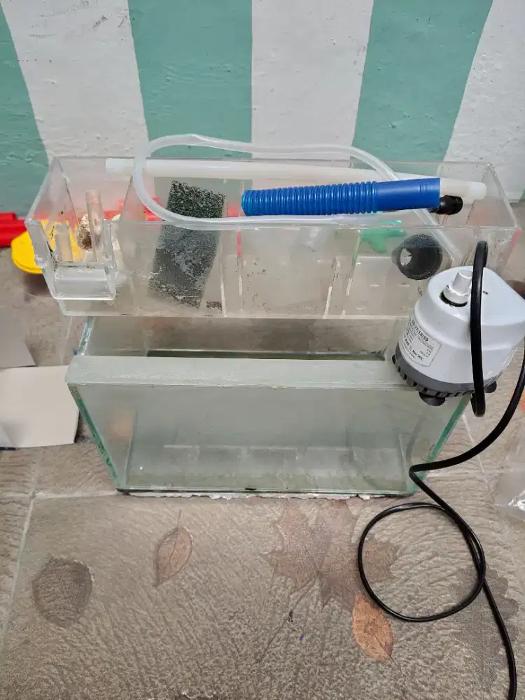 Aquarium 25cm + Chamber + Pompa