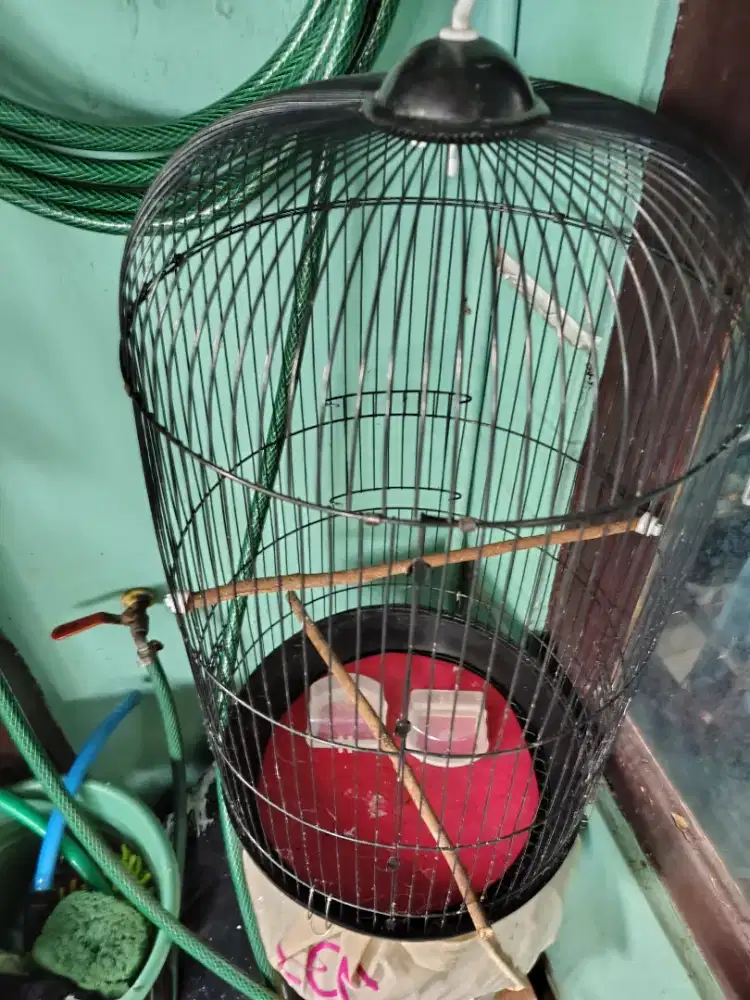 Kandang Burung Bekas