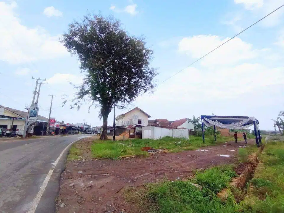 TANAH KAVLING TANJUNG SENANG WAYKANDIS DI PULAU DAMAR DP MURAH