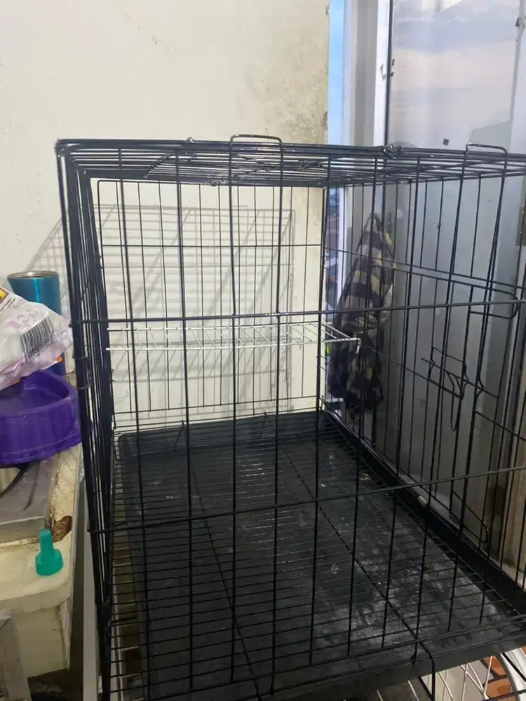 Kandang kucing ukuran M