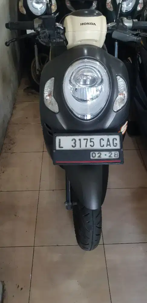 Scoooy Fhasion th 2023 istimewa pjk baru