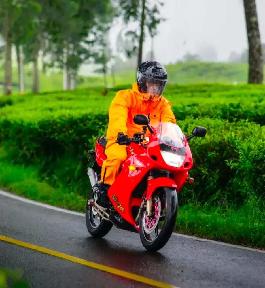 Kawasaki ninja RR old 2010