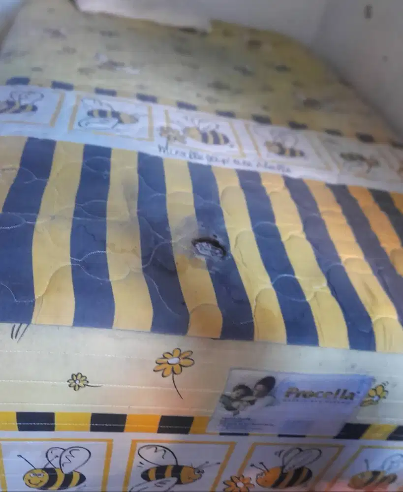 Procella Springbed Modern and dinamic