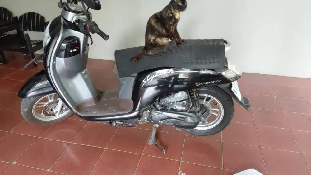 Jual Scoopy 2019 mulus terawat