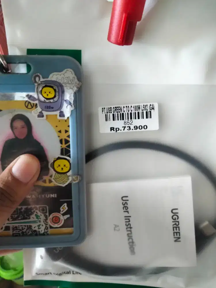 USB UGREEN C TO C 100W L502