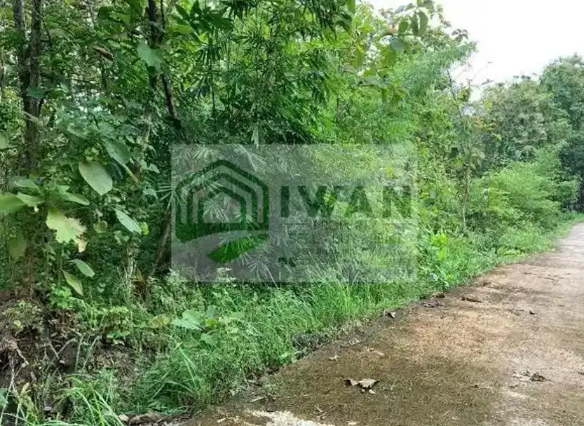 Tanah Zona Kandang Luas Bisa Ambil Sebagian