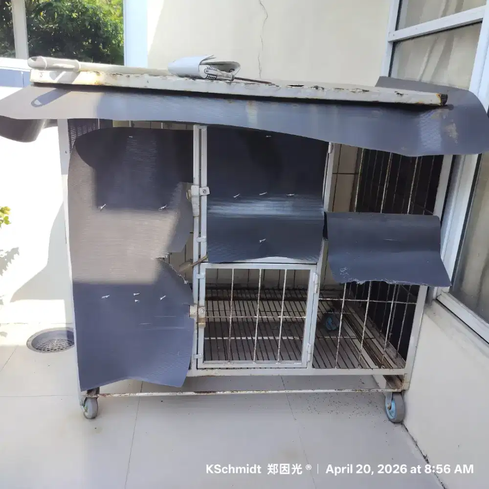 Kandang Anjing Besar