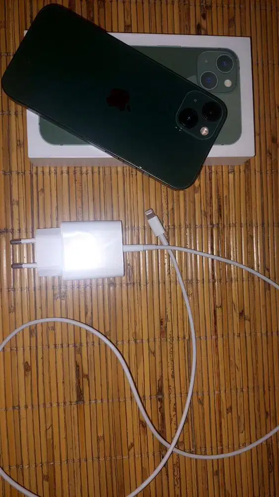 Jual iphone 13 128 hijau alpine