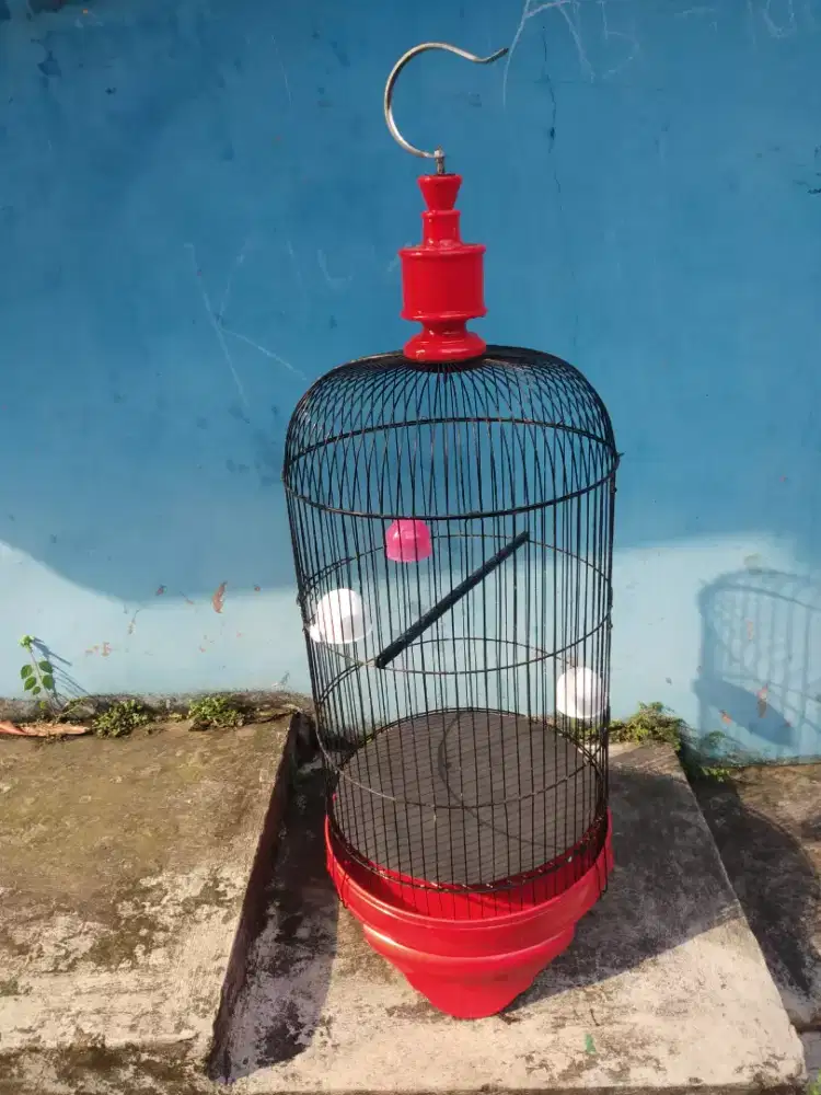 Sangkar burung Lovebird