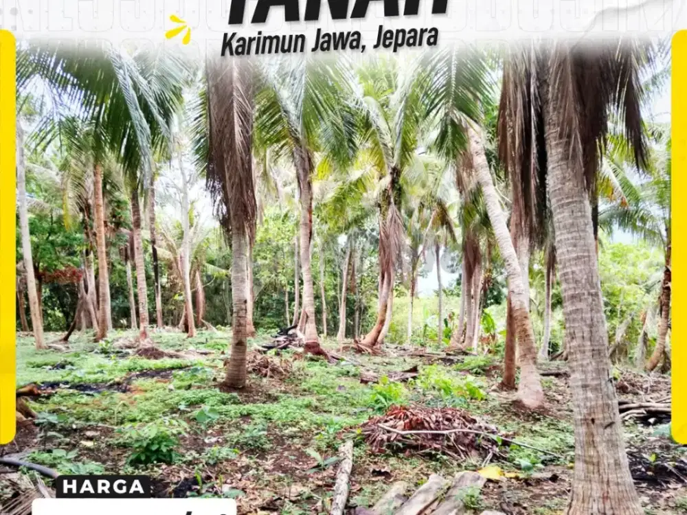 Lahan Masif Strategis di Kemujan Karimunjawa, Lokasi Emas untuk Resort & Hotel Mewah