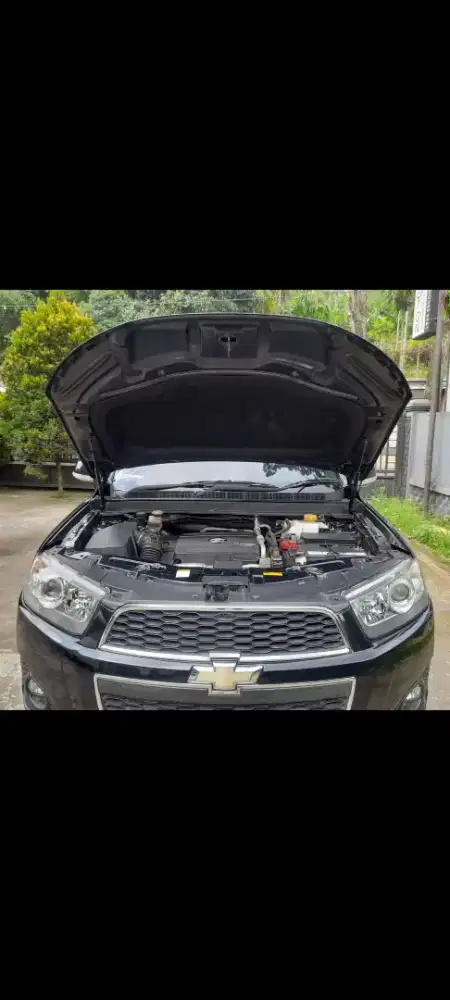 Pinising tempat tinggal