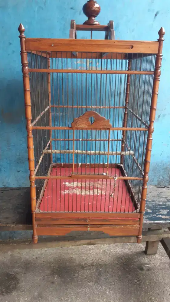 Kandang kotak jati no 2