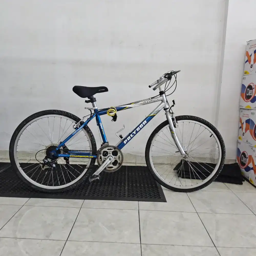 Sepeda Polygon Unitoga