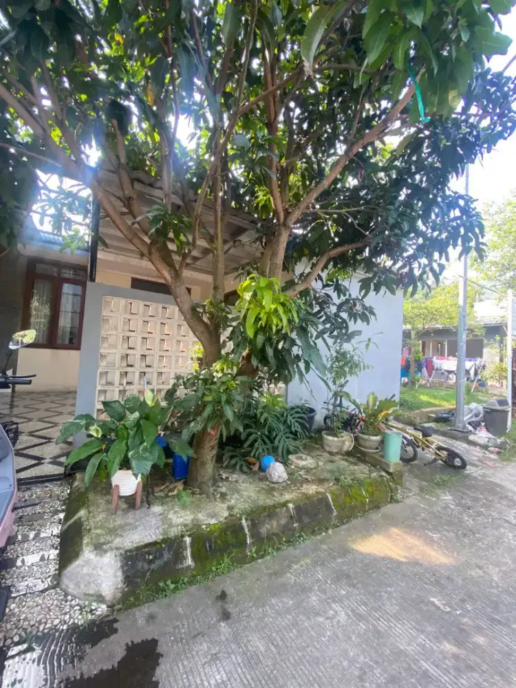 Dijual / Take over cluster