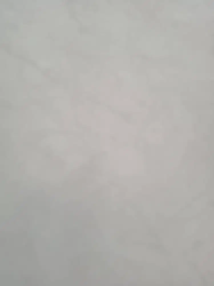 Driver Berpengalaman